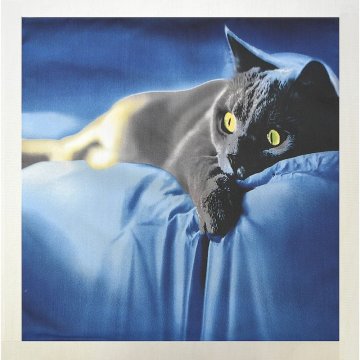 Apex 3D párnahuzat - kék macska - párnahuzat